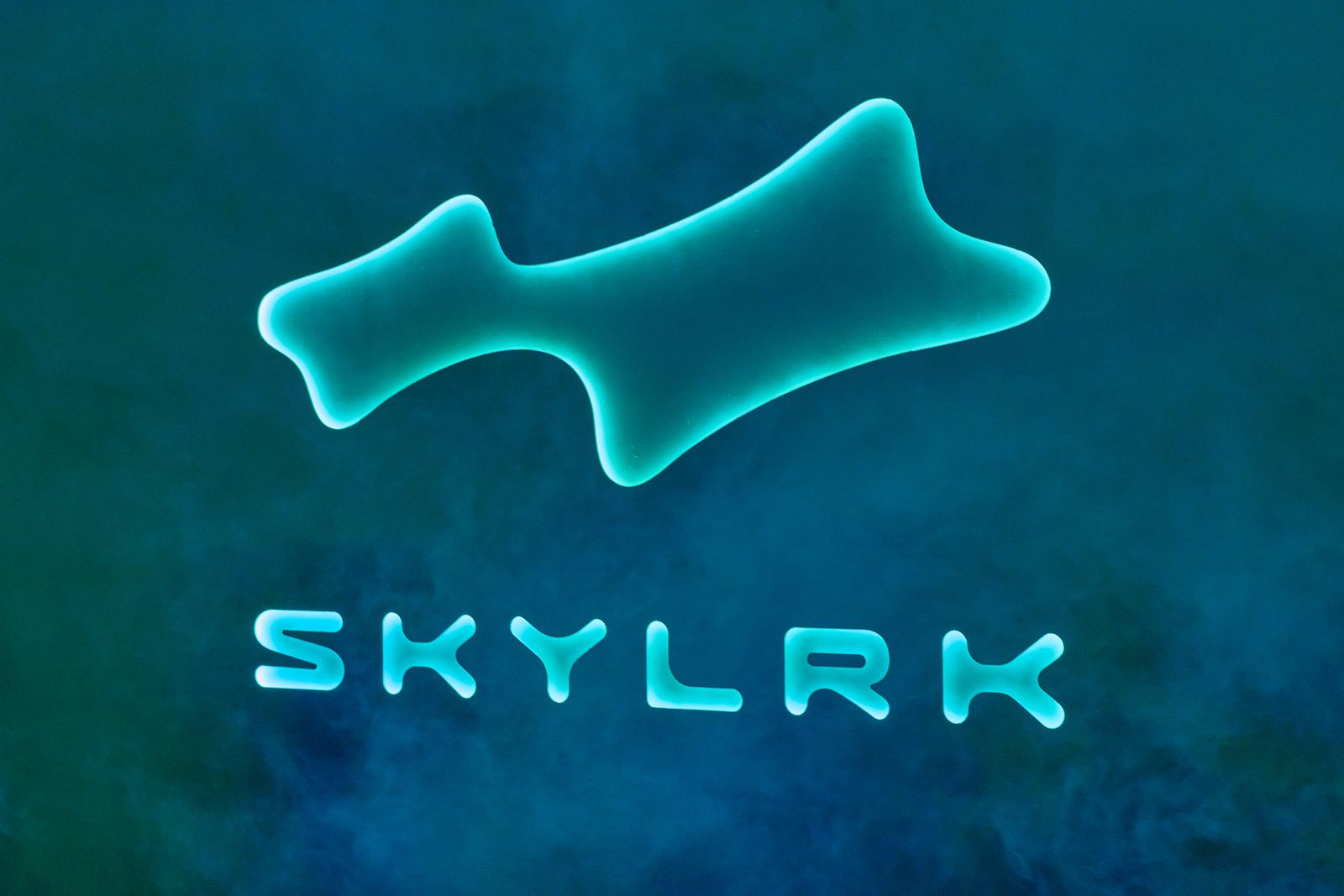 Skylrk and Justin Bieber activation at Coachella